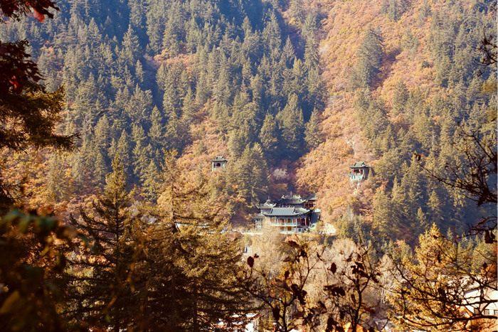 深秋美拉德色系藏在“隴右名山”的風景里