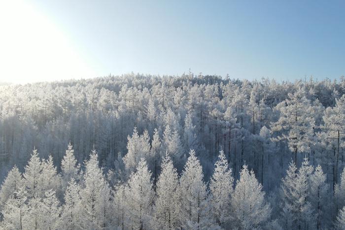 內(nèi)蒙古大興安嶺：霧凇雪景宛若冰雪童話世界